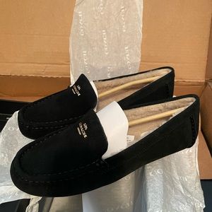Coach Marley Suede Loafers